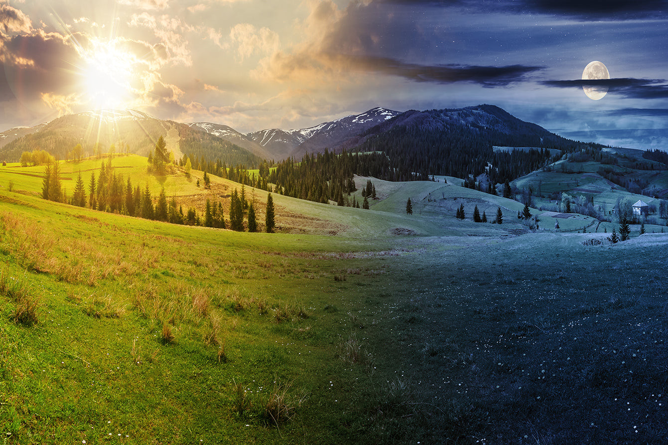 Maitri Studio, Belfast, Annie Roxin, RockZen Yoga and Holistics , chakra yoga, spring equinox