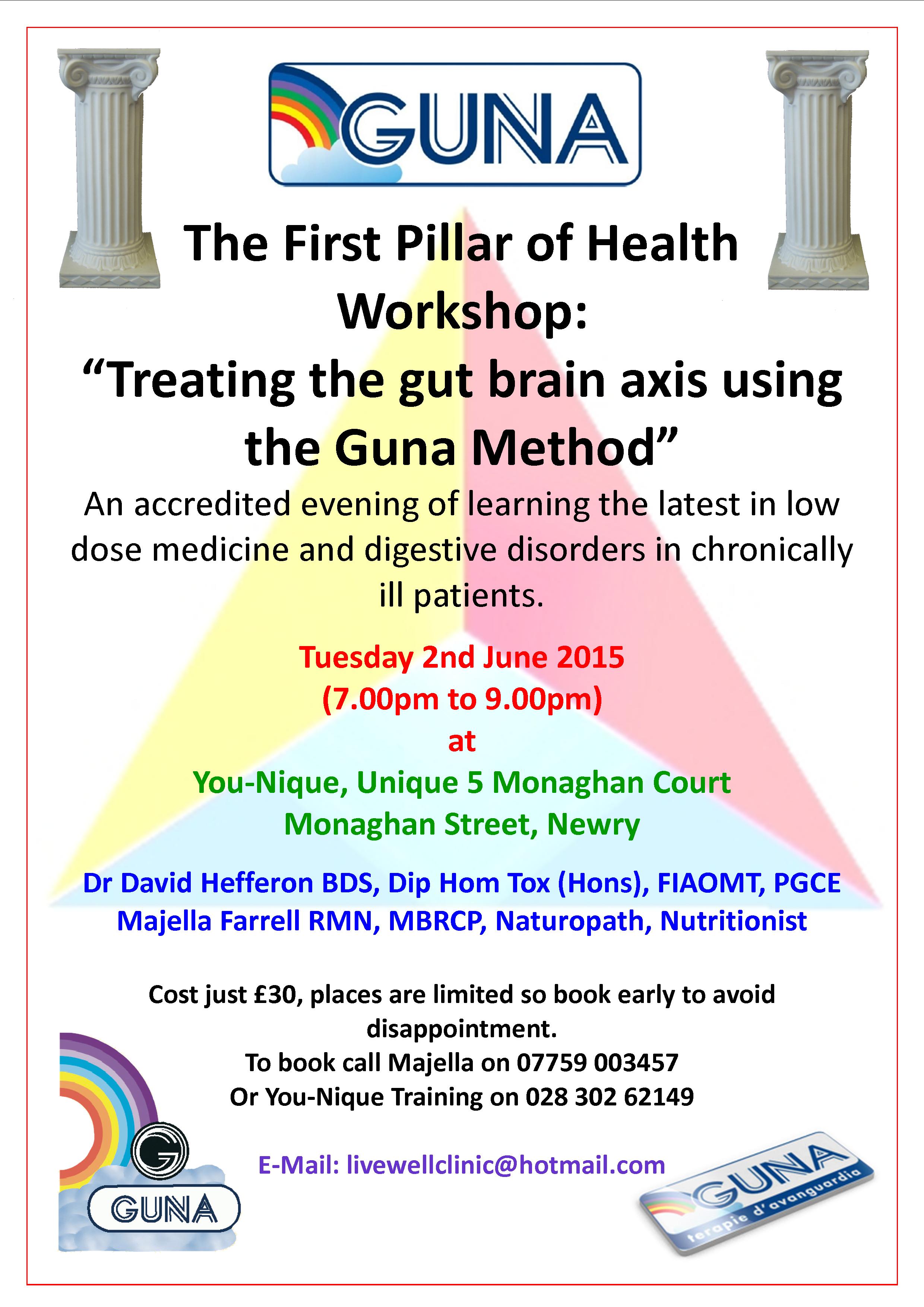  The First Pillar of Health Workshop:  Treating the gut brain axis using the GUNA Method