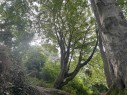 Maitri Studio, Belfast, Xenia Pestova Bennett, yin yoga, relaxation